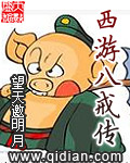 ���ΰ˽䴫